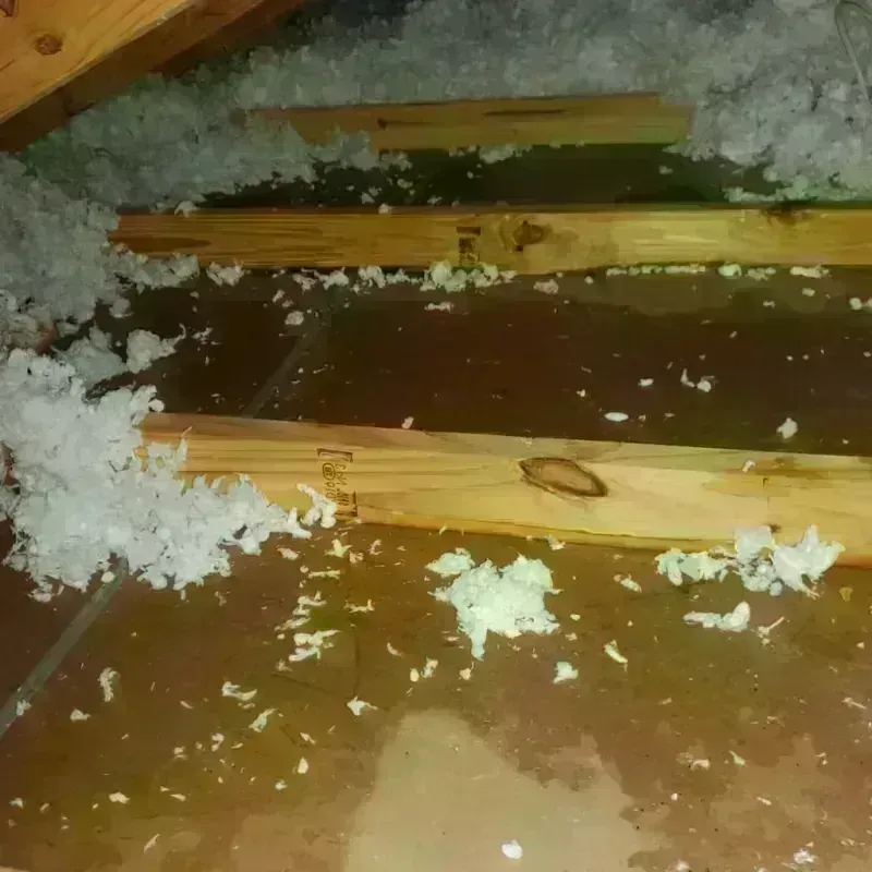 Attic Water Damage in Saint John, KS