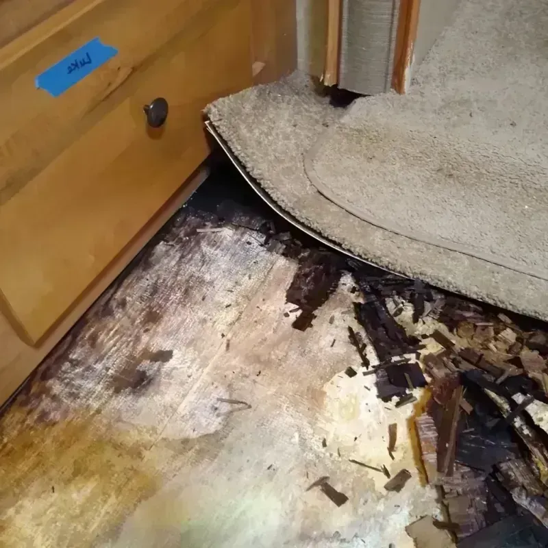 Wood Floor Water Damage in Saint John, KS